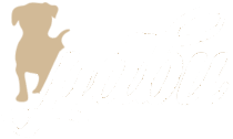light-logo@2x-3